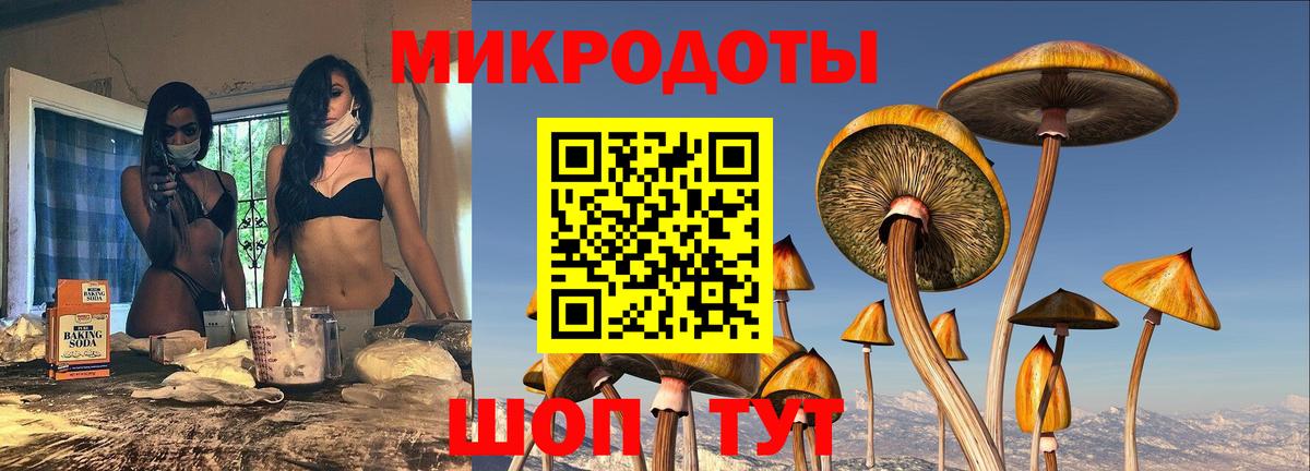 Галлюциногенные грибы Cubensis Избербаш