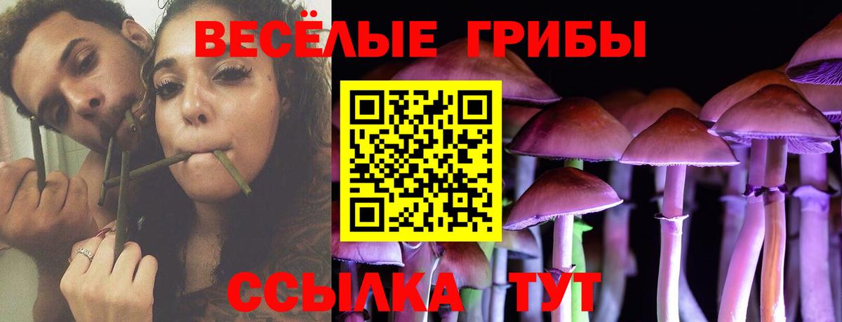 Псилоцибиновые грибы Psilocybe  Псилоцибиновые грибы ЛСД  Вход с VPN  Избербаш 